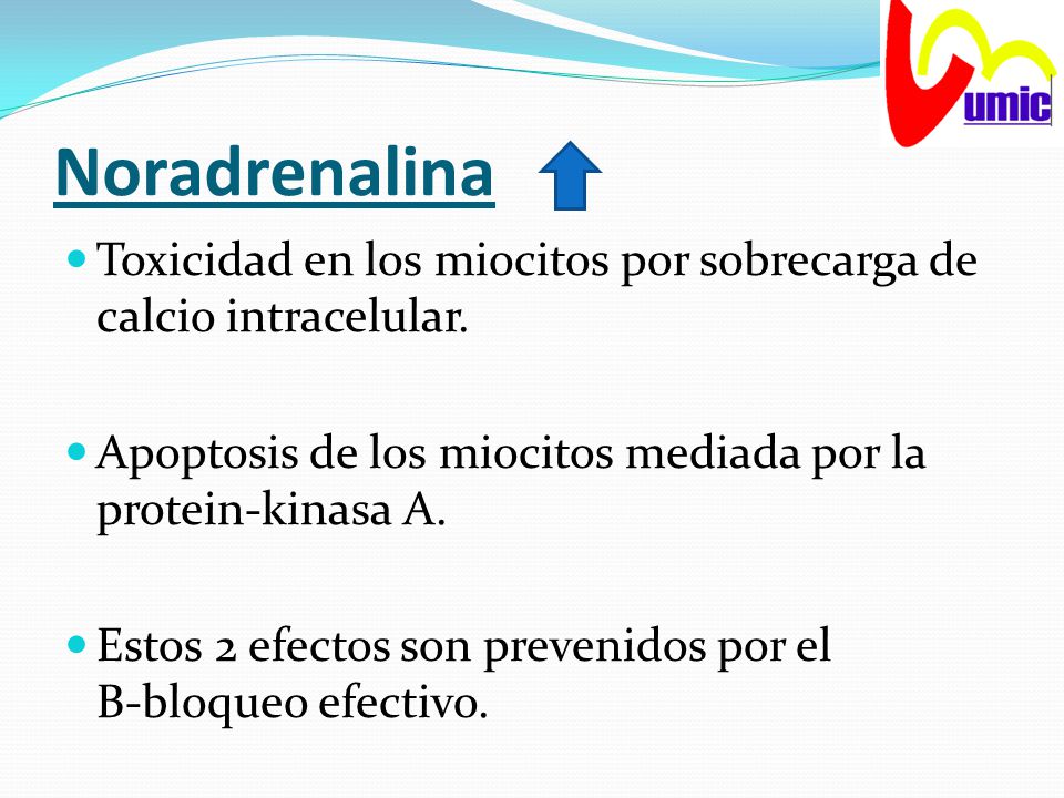 Noradrenalina Toxicidad en los miocitos por sobrecarga de calcio intracelular. Apoptosis de los miocitos mediada por la protein-kinasa A.