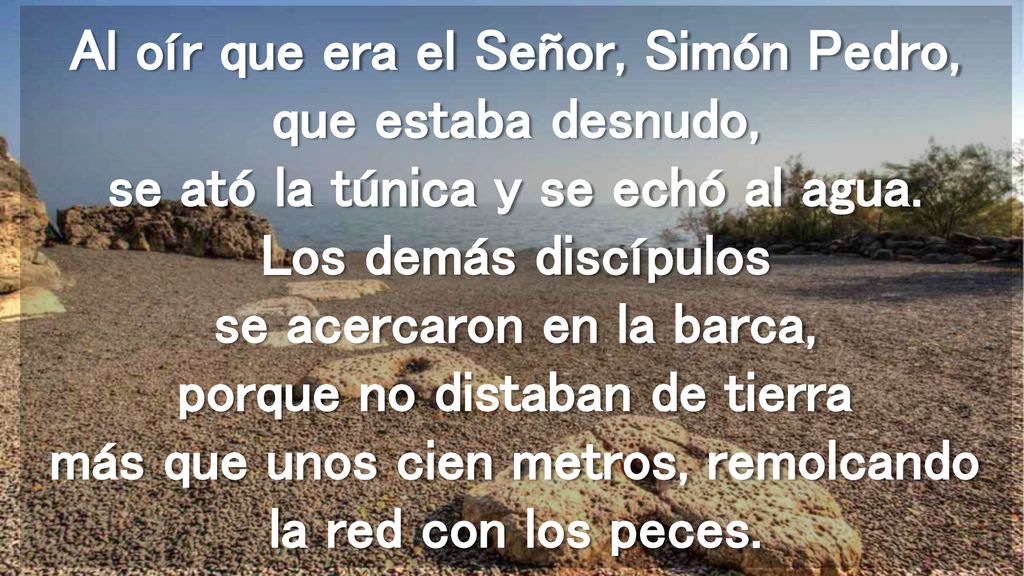 Al oír que era el Señor, Simón Pedro, que estaba desnudo, se ató la túnica y se echó al agua.