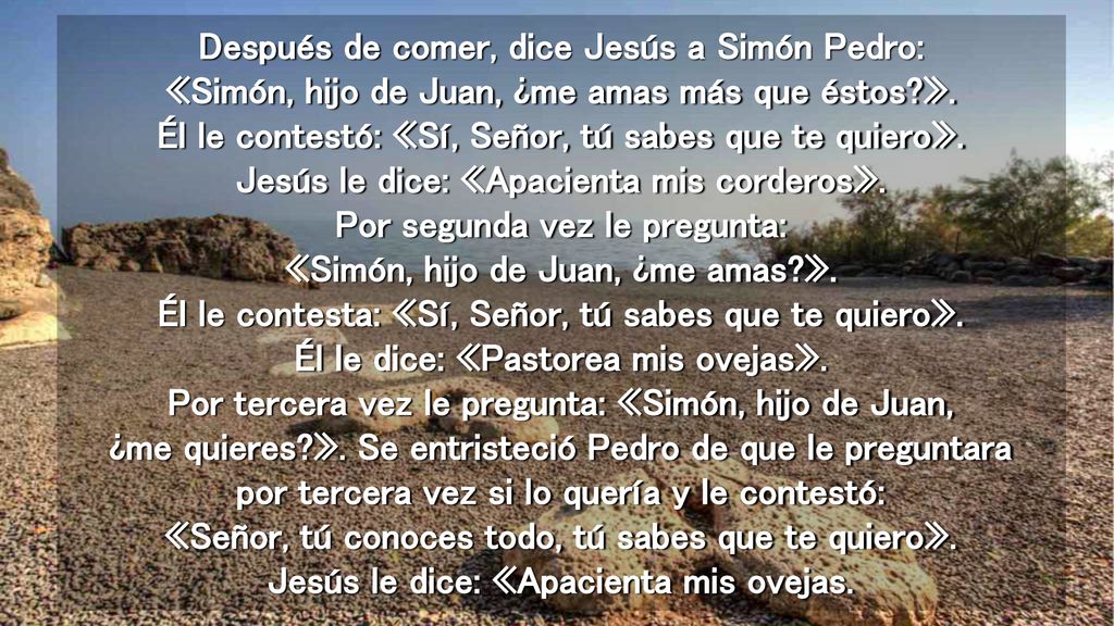 Después de comer, dice Jesús a Simón Pedro: «Simón, hijo de Juan, ¿me amas más que éstos ».
