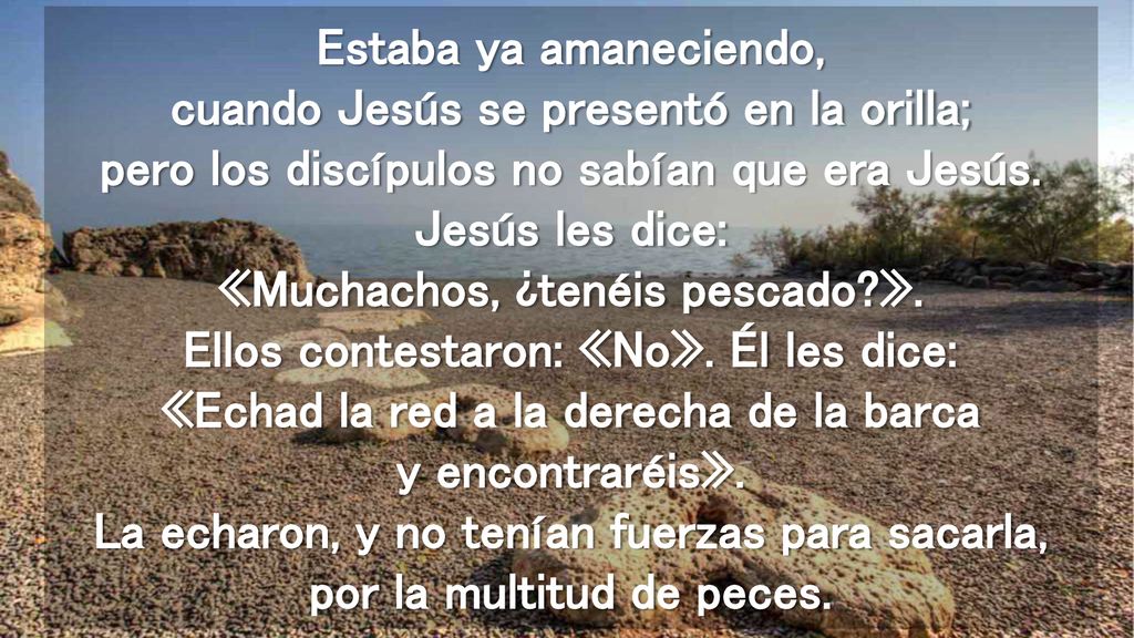 Estaba ya amaneciendo, cuando Jesús se presentó en la orilla; pero los discípulos no sabían que era Jesús.