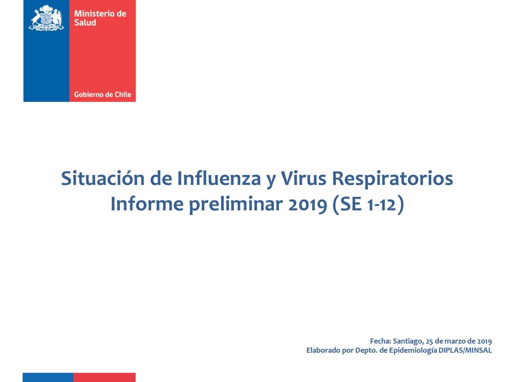 Situación de Influenza y Virus Respiratorios Informe preliminar 2019 (SE 1-12)