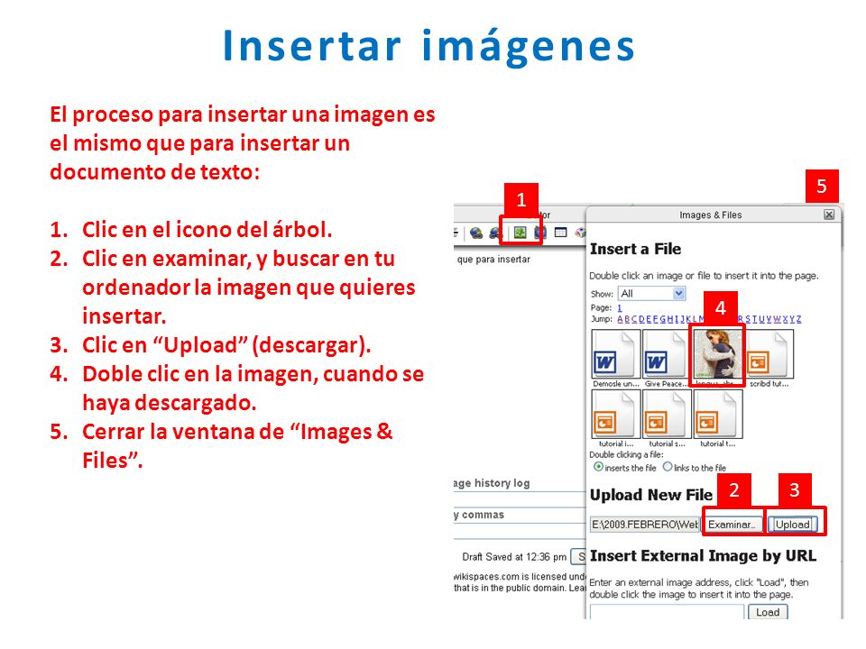 Insertar imágenes El proceso para insertar una imagen es el mismo que para insertar un documento de texto: