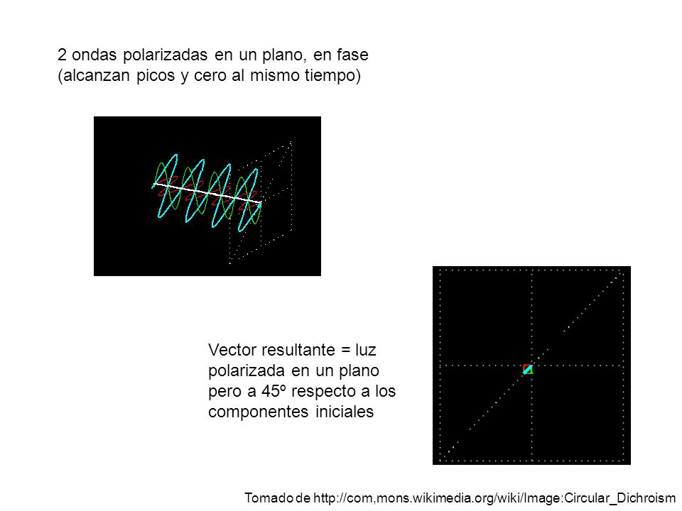 2 ondas polarizadas en un plano, en fase (alcanzan picos y cero al mismo tiempo)