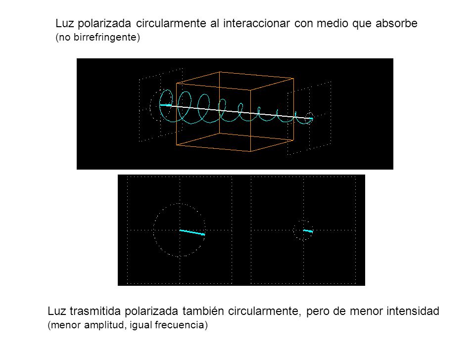 Luz polarizada circularmente al interaccionar con medio que absorbe (no birrefringente)