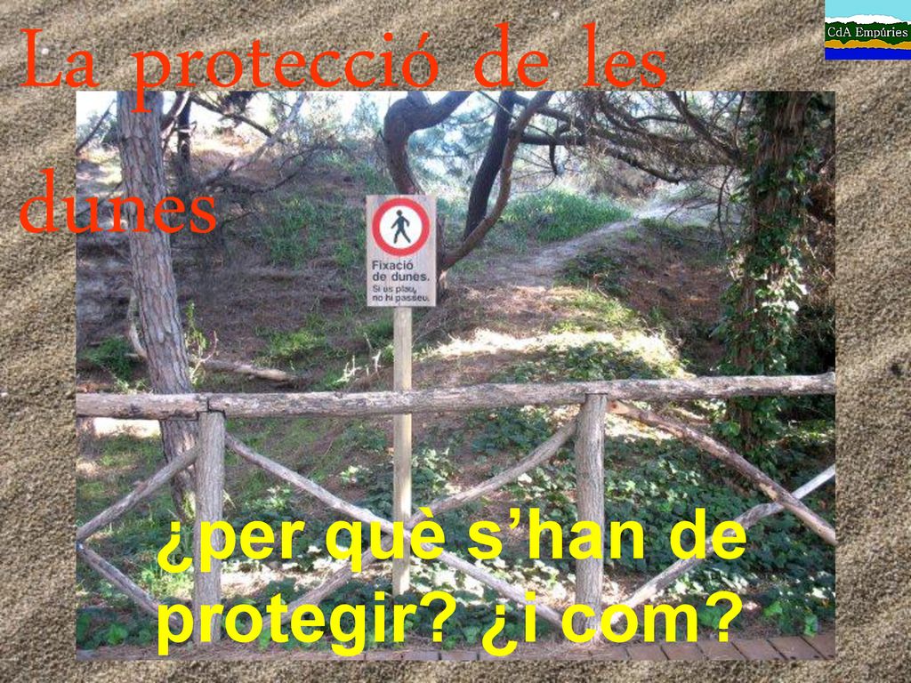 La protecció de les dunes ¿per què s’han de protegir ¿i com