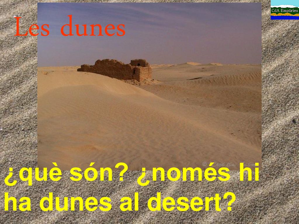 Les dunes ¿què són ¿només hi ha dunes al desert