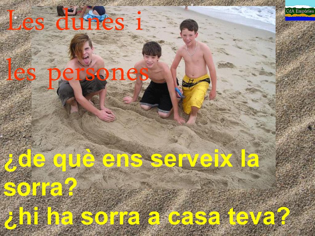 Les dunes i les persones ¿de què ens serveix la sorra