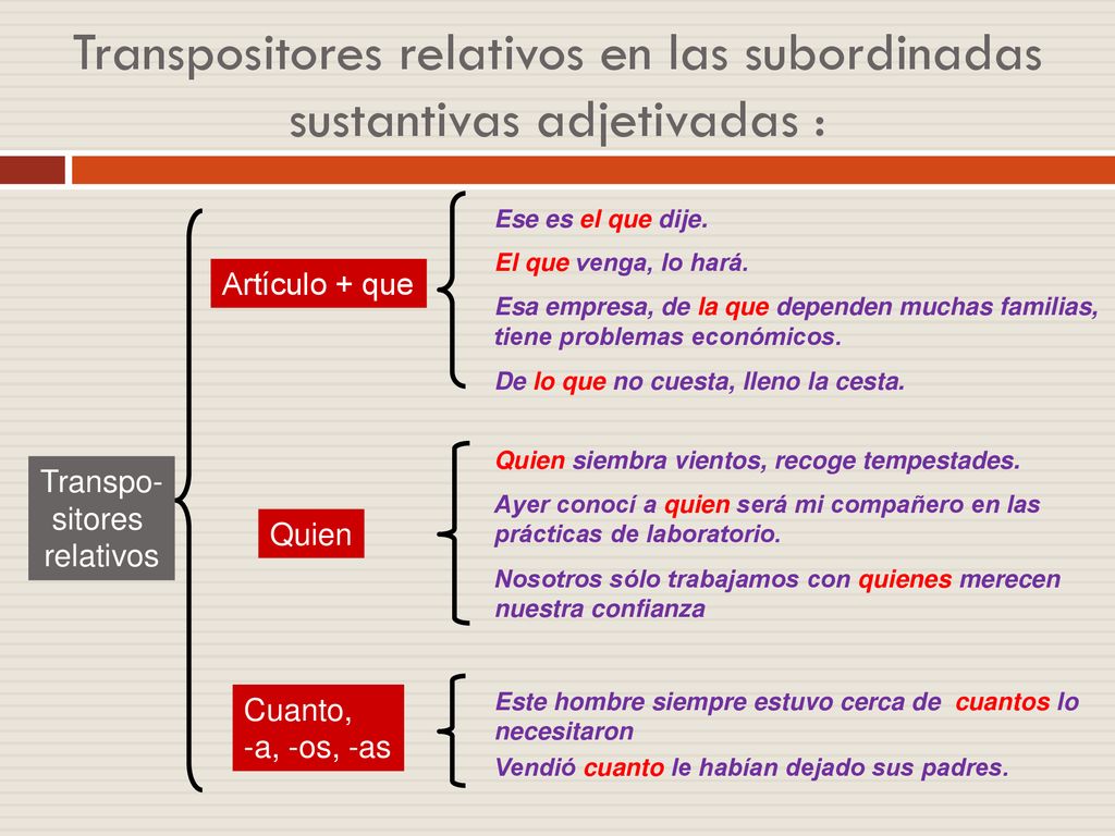 Transpositores relativos en las subordinadas sustantivas adjetivadas :