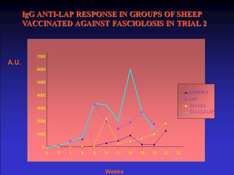 IgG ANTI-LAP RESPONSE IN GROUPS OF SHEEP VACCINATED AGAINST FASCIOLOSIS IN TRIAL 2
