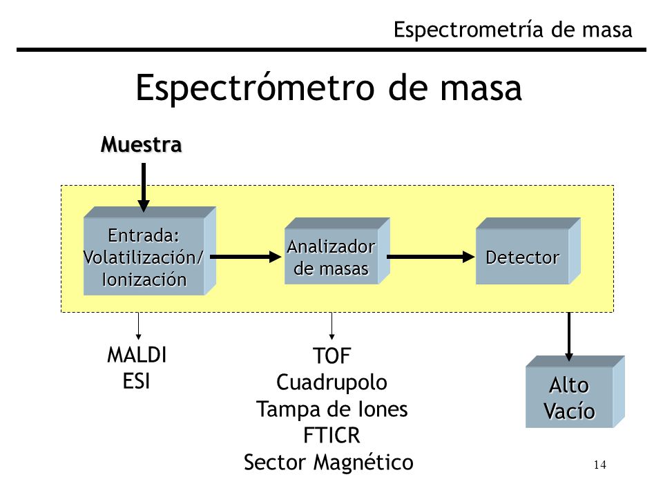 Espectrómetro de masa Espectrometría de masa Muestra MALDI TOF ESI