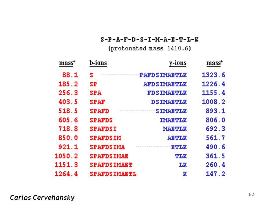 By calculating the molecular weight difference between ions of the same type the sequence can be determined.