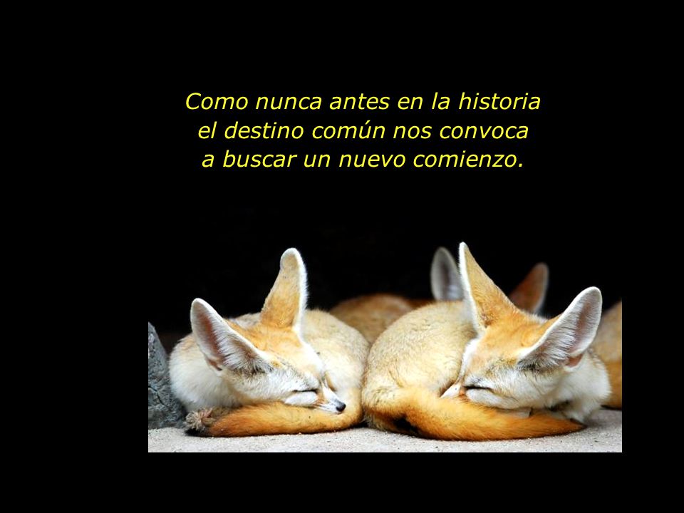 Como nunca antes en la historia el destino común nos convoca
