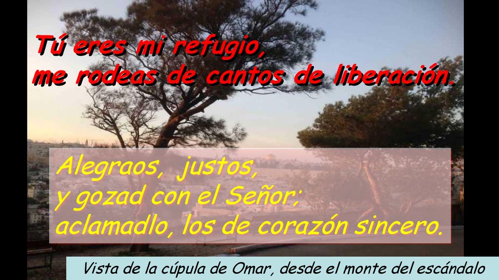 Vista de la cúpula de Omar, desde el monte del escándalo