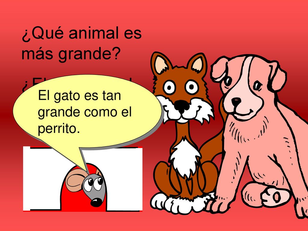 ¿Qué animal es más grande ¿El perrito o el gato