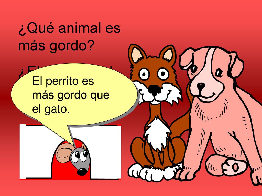 ¿Qué animal es más gordo ¿El perrito o el gato
