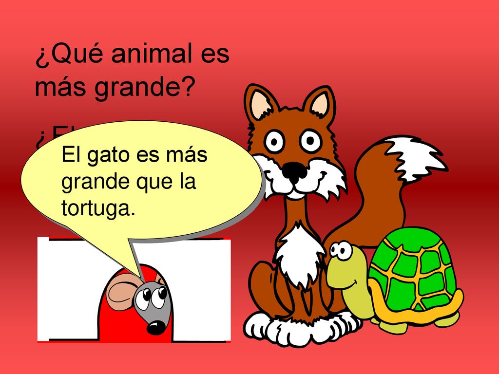 ¿Qué animal es más grande ¿El gato o la tortuga