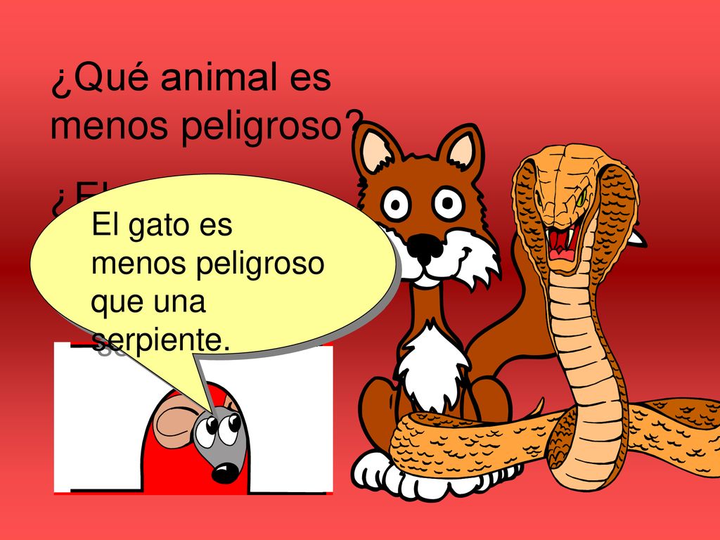 ¿Qué animal es menos peligroso ¿El gato o la serpiente