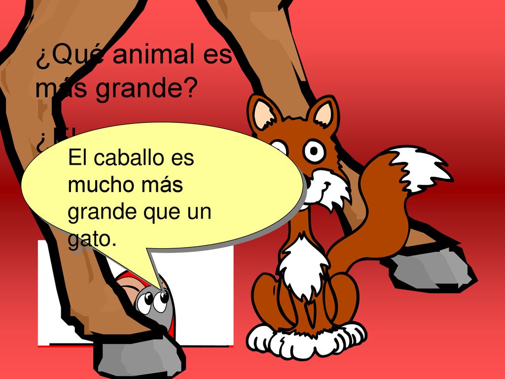 ¿Qué animal es más grande ¿El gato o el caballo