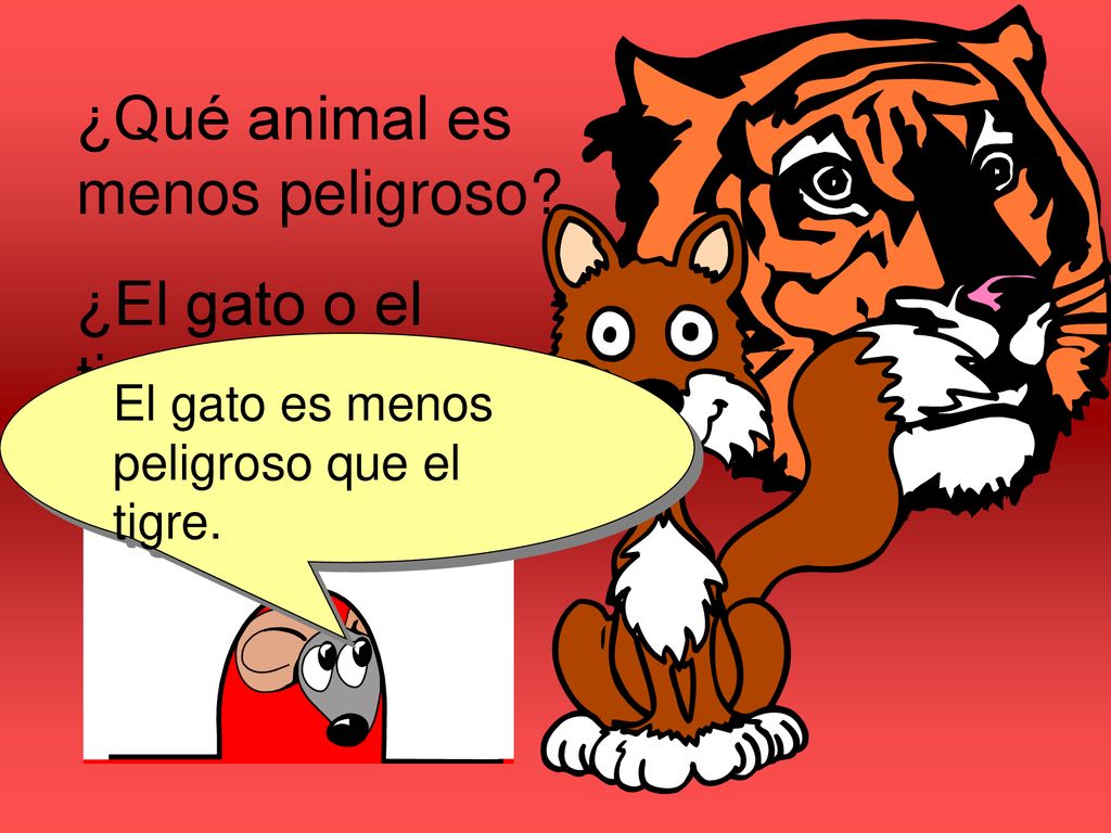 ¿Qué animal es menos peligroso ¿El gato o el tigre