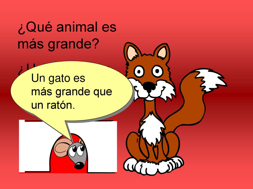 ¿Qué animal es más grande ¿Un ratón o un gato
