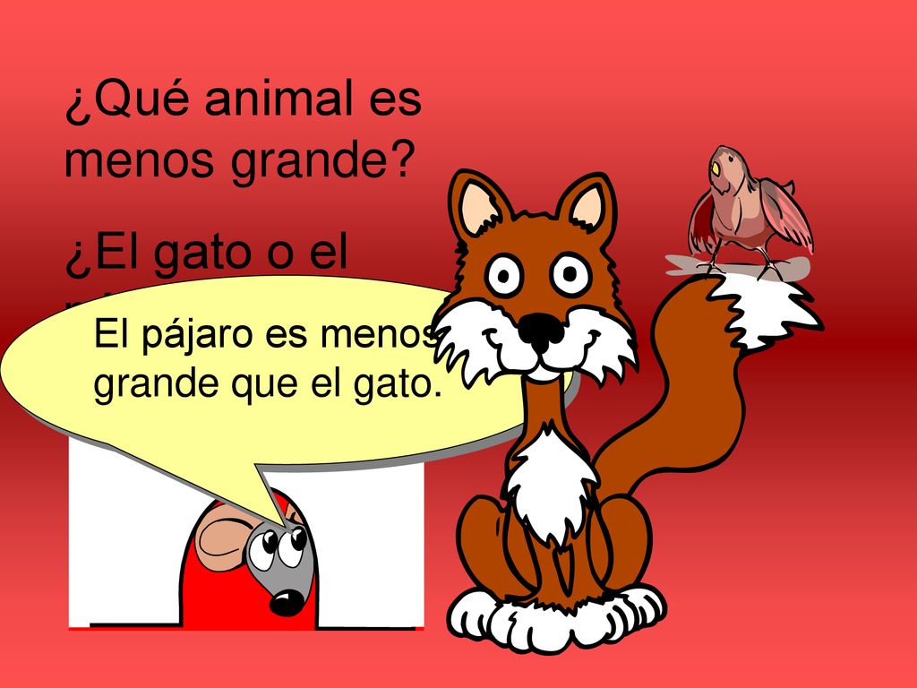 ¿Qué animal es menos grande ¿El gato o el pájaro