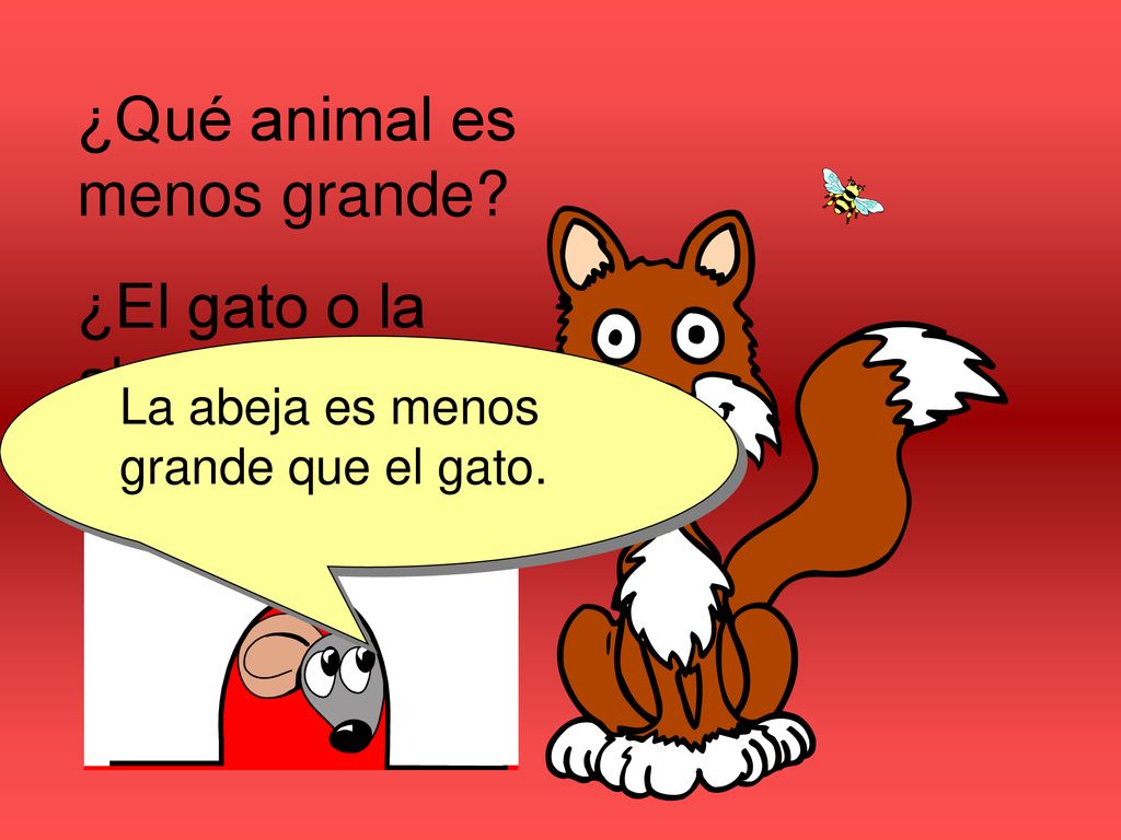 ¿Qué animal es menos grande ¿El gato o la abeja