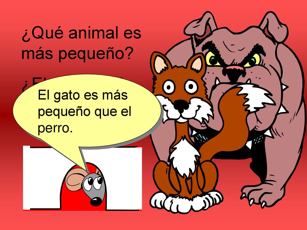 ¿Qué animal es más pequeño ¿El perro o el gato