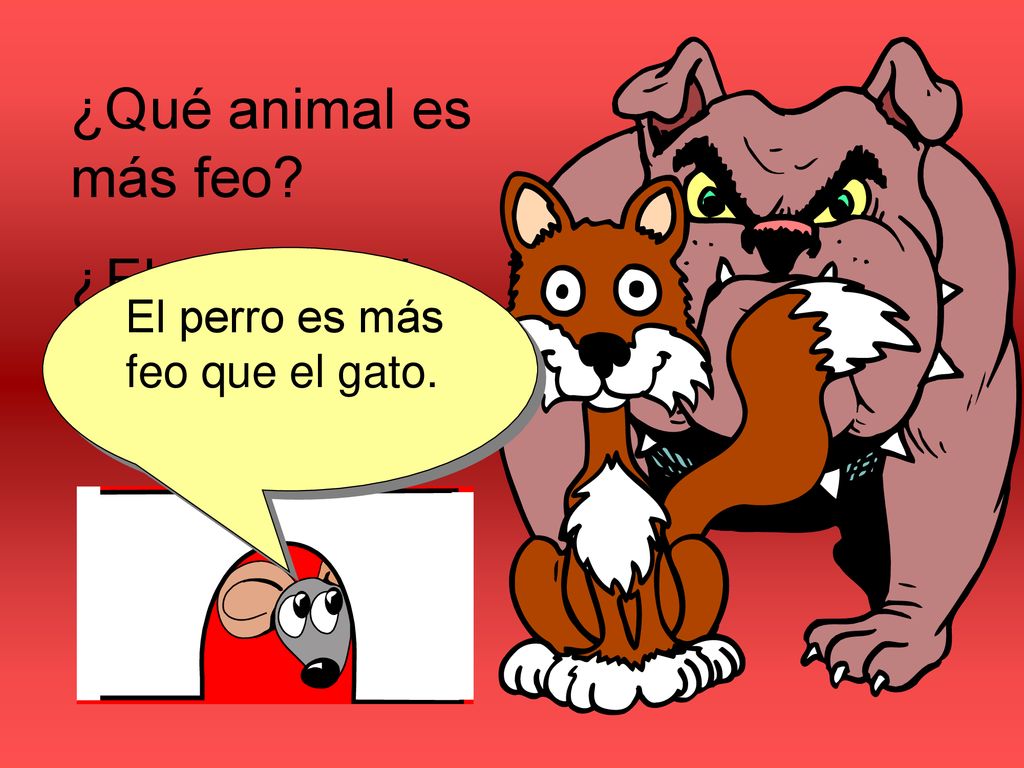 ¿Qué animal es más feo ¿El perro o el gato