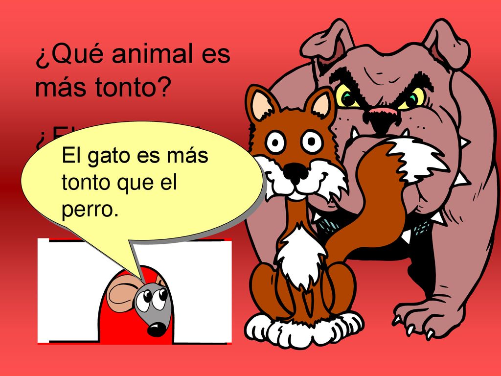 ¿Qué animal es más tonto ¿El perro o el gato