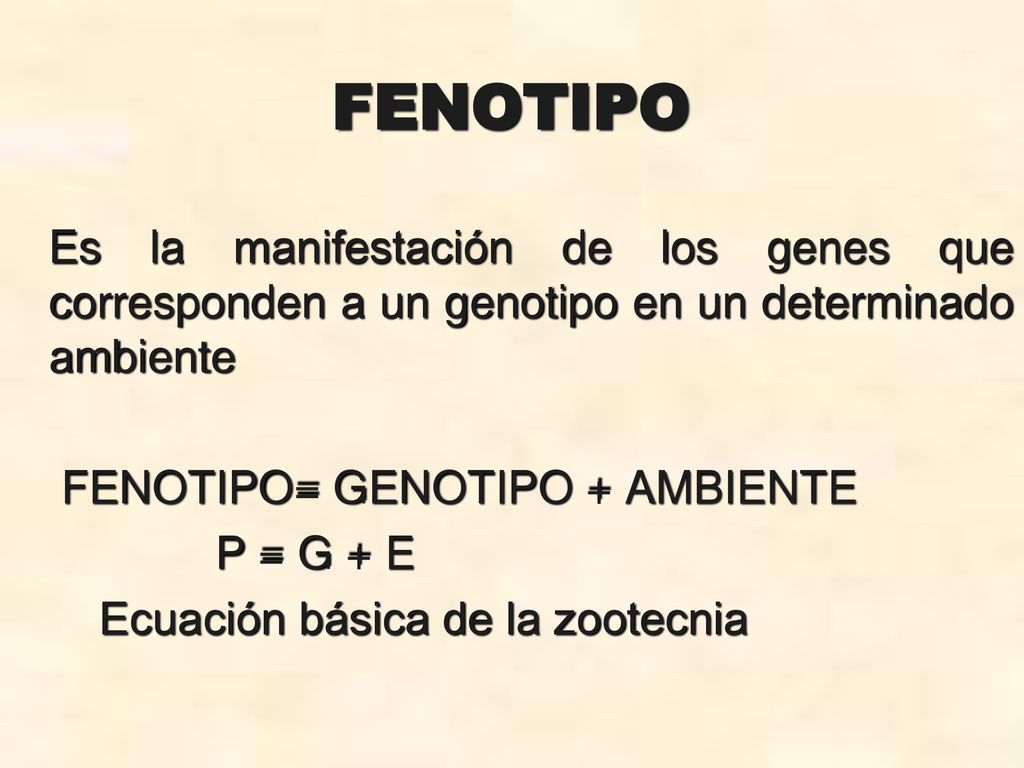 FENOTIPO Es la manifestación de los genes que corresponden a un genotipo en un determinado ambiente.