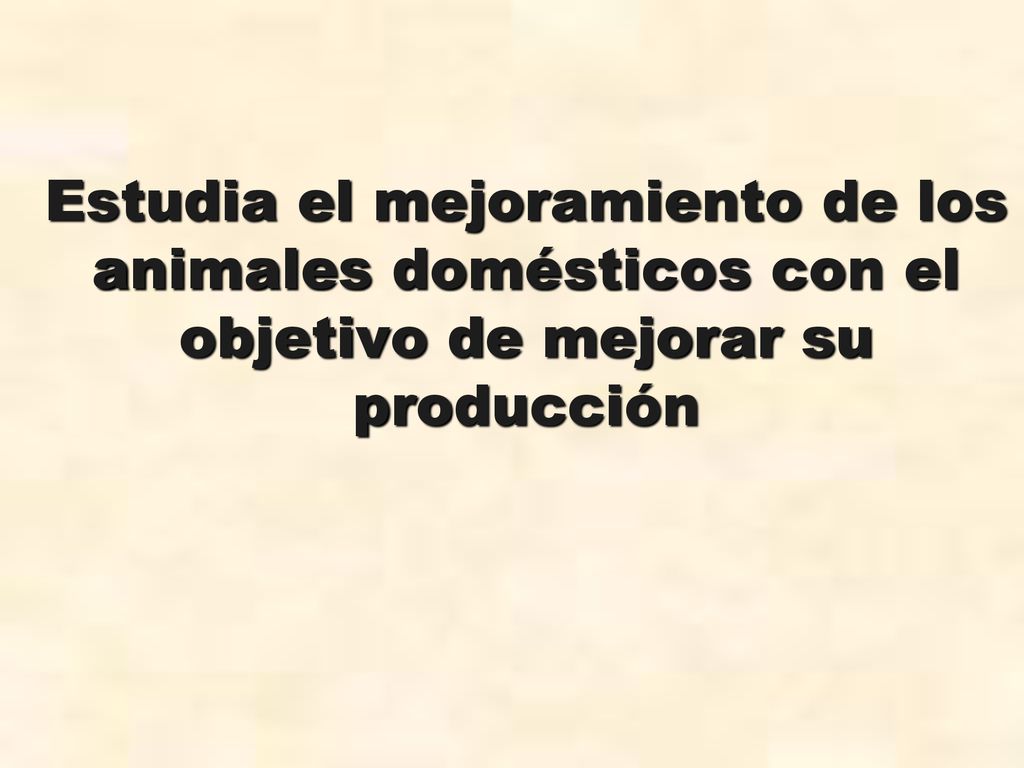 Estudia el mejoramiento de los animales domésticos con el objetivo de mejorar su producción