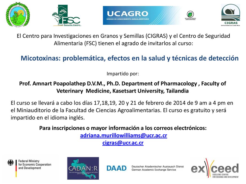 Micotoxinas: problemática, efectos en la salud y técnicas de detección