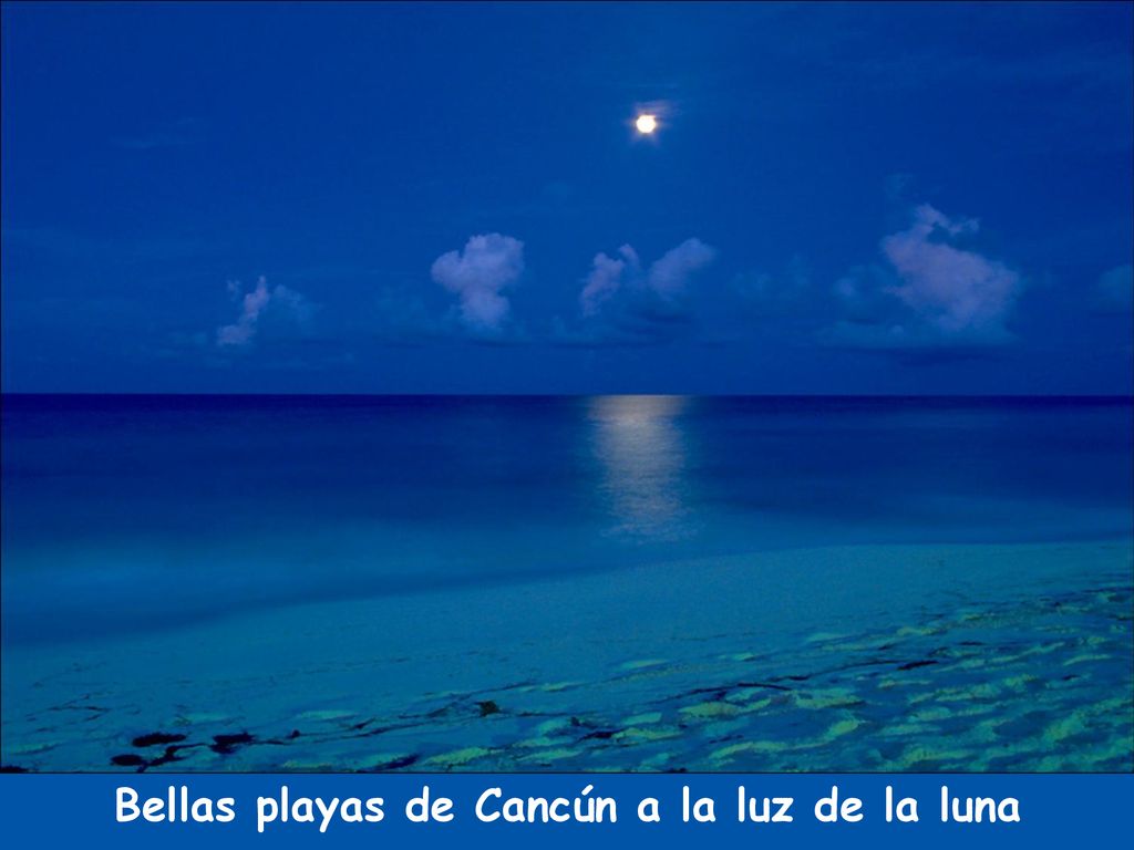 Bellas playas de Cancún a la luz de la luna
