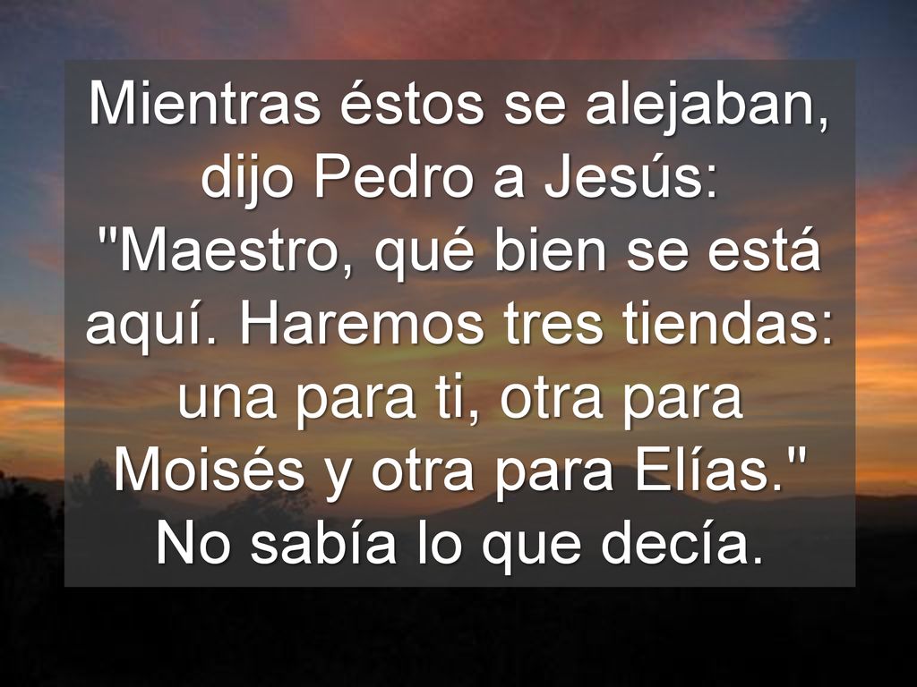 Mientras éstos se alejaban, dijo Pedro a Jesús: Maestro, qué bien se está aquí.