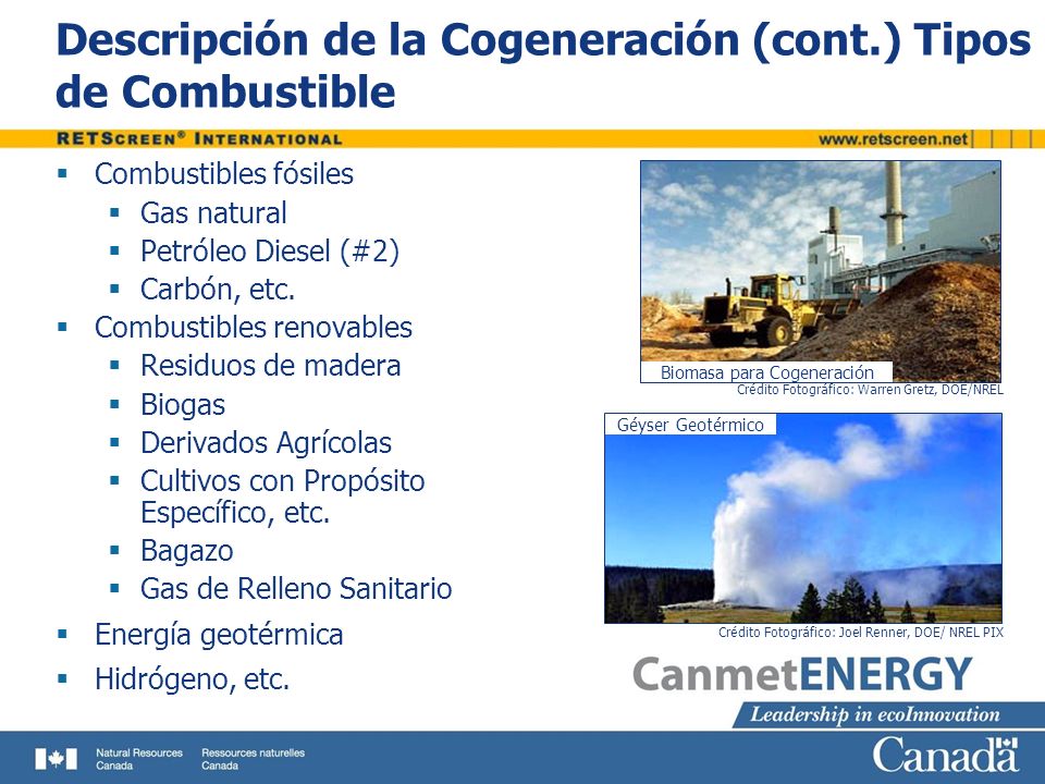 Descripción de la Cogeneración (cont.) Tipos de Combustible