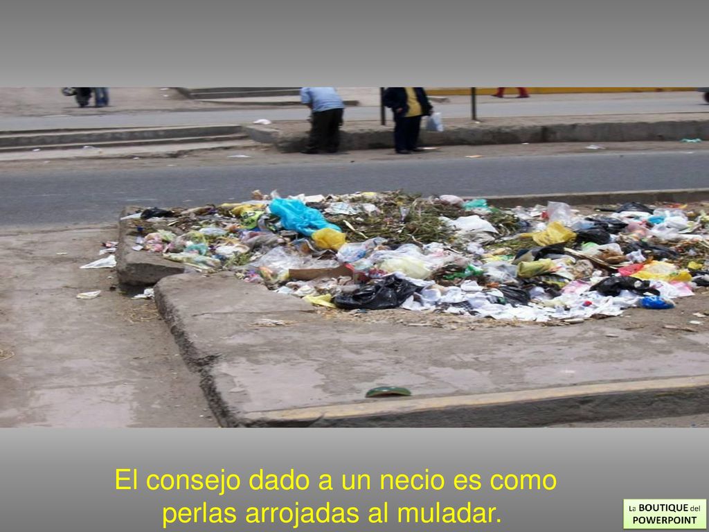 El consejo dado a un necio es como perlas arrojadas al muladar.