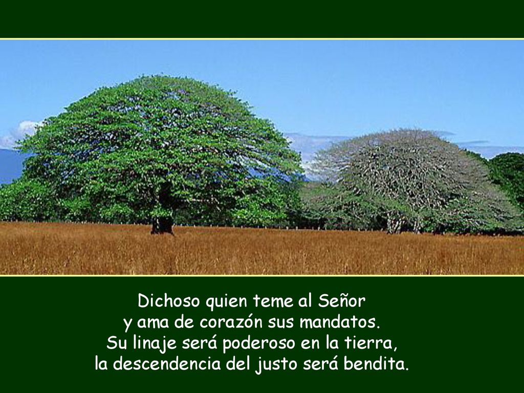 Dichoso quien teme al Señor y ama de corazón sus mandatos