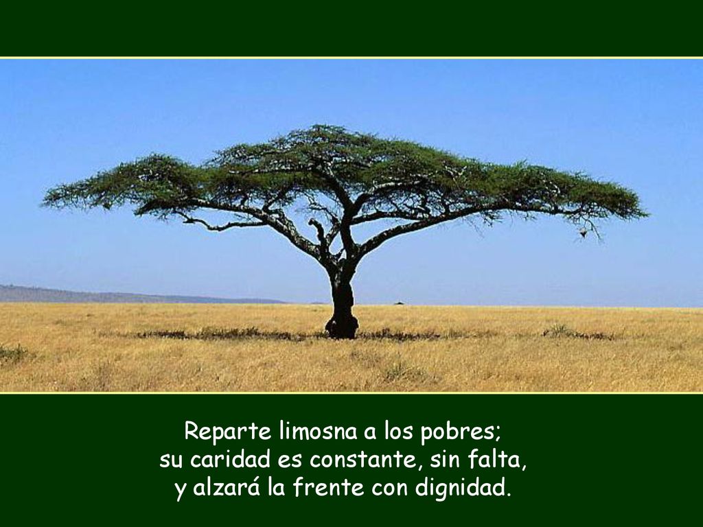 Reparte limosna a los pobres; su caridad es constante, sin falta, y alzará la frente con dignidad.