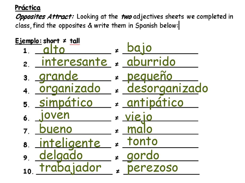 bajo alto. interesante. aburrido. grande. pequeño. organizado. desorganizado. simpático. antipático.