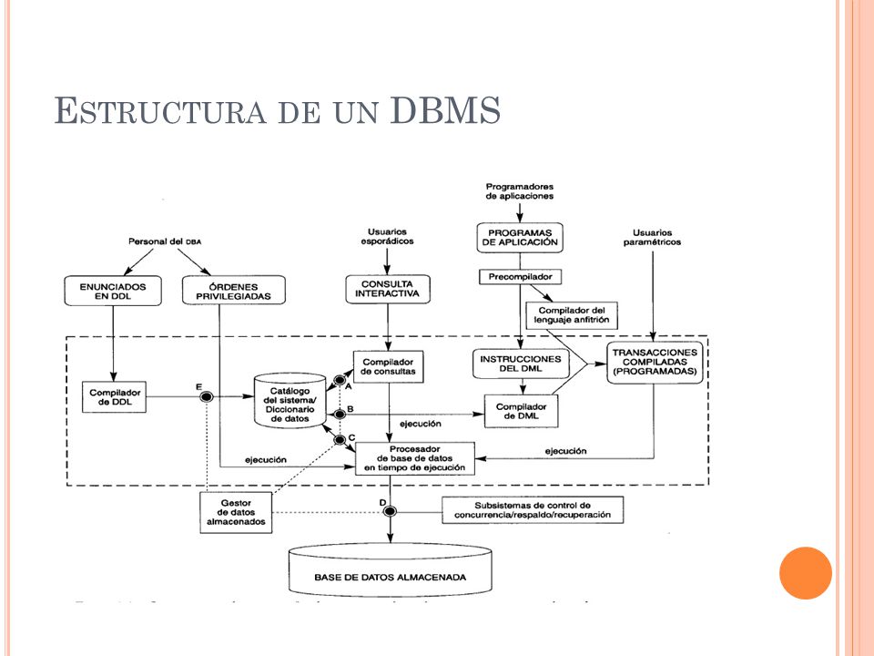 Estructura de un DBMS