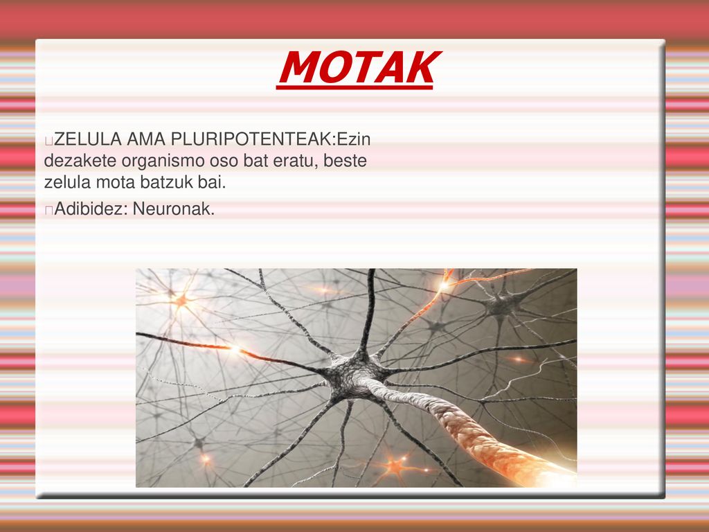 MOTAK ZELULA AMA PLURIPOTENTEAK:Ezin dezakete organismo oso bat eratu, beste zelula mota batzuk bai.