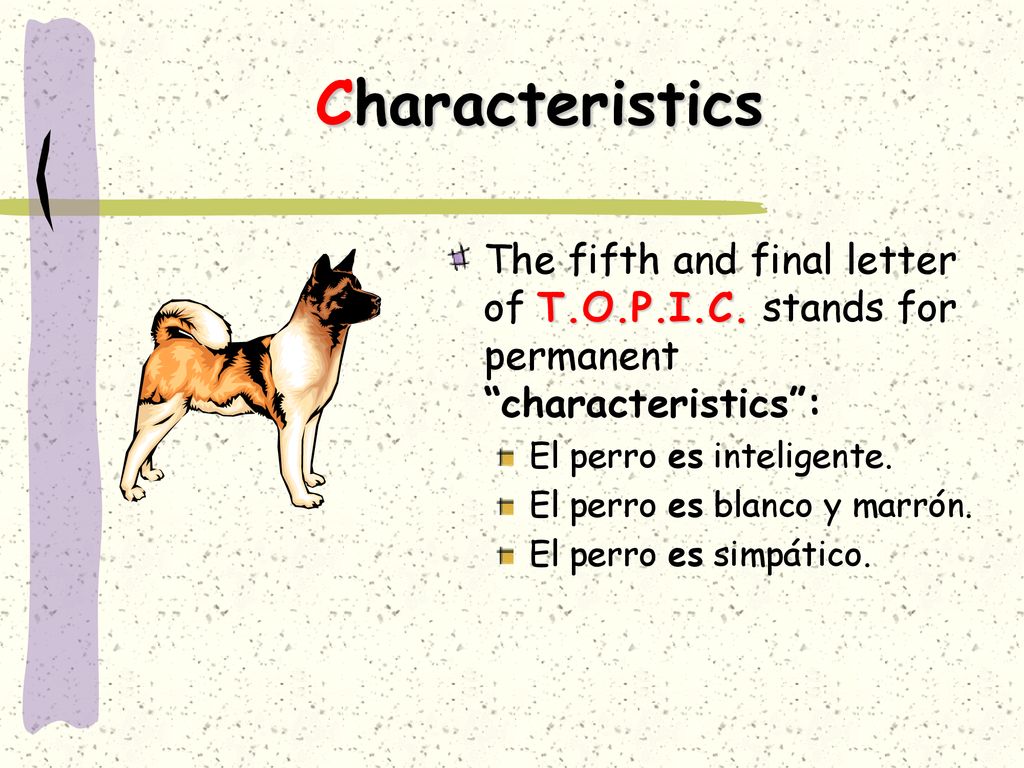 Characteristics The fifth and final letter of T.O.P.I.C. stands for permanent characteristics : El perro es inteligente.