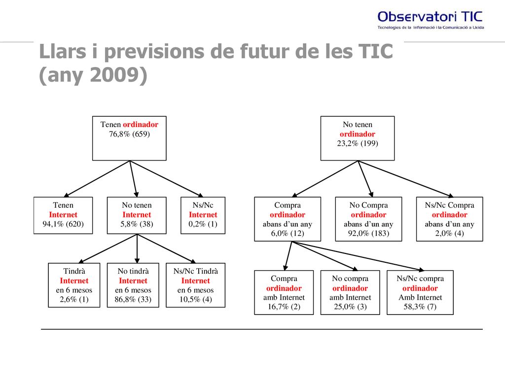 Llars i previsions de futur de les TIC (any 2009)