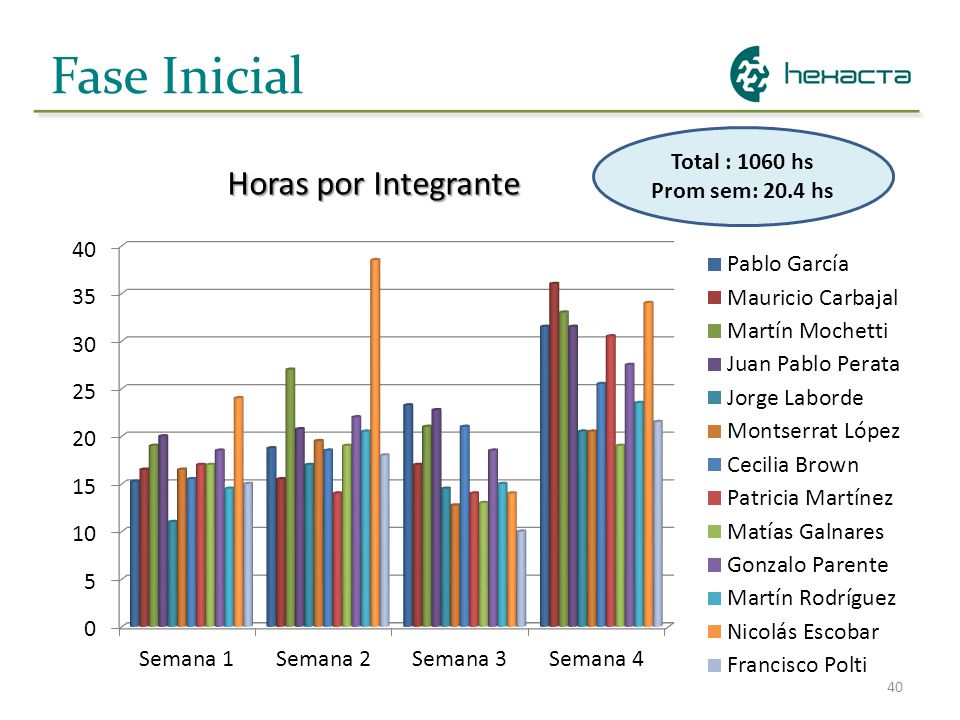 Fase Inicial Total : 1060 hs Prom sem: 20.4 hs Horas por Integrante