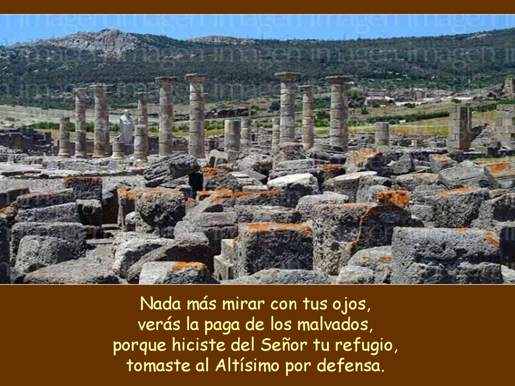 Nada más mirar con tus ojos, verás la paga de los malvados,