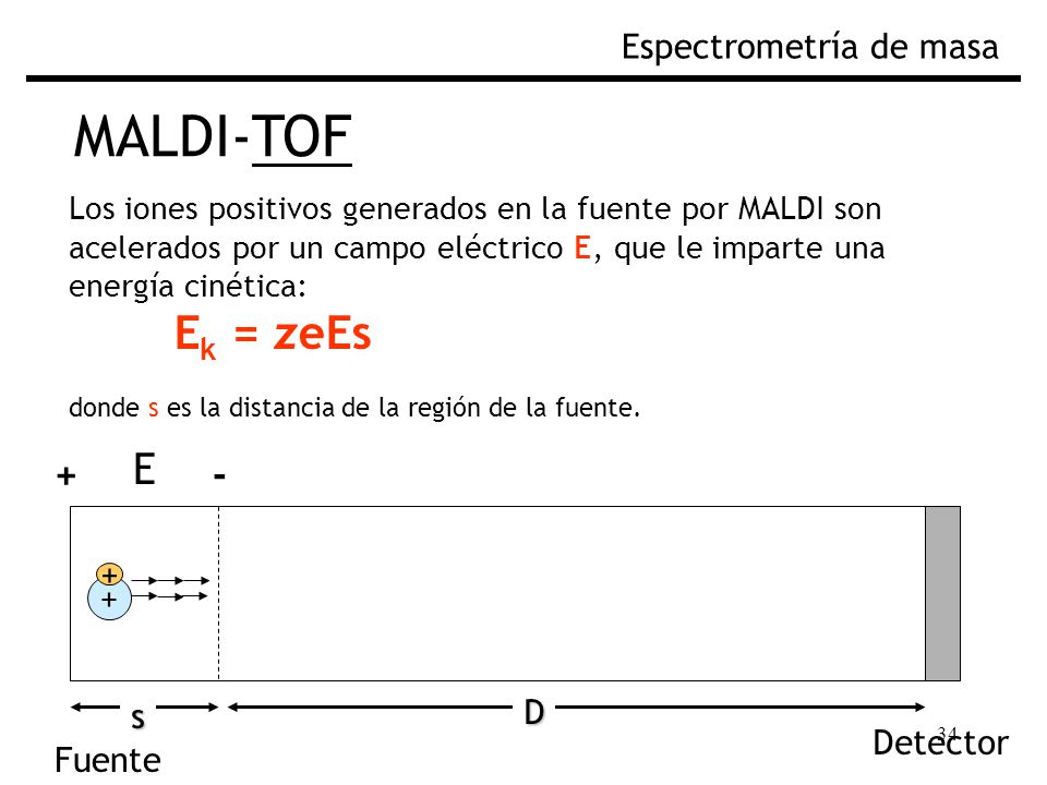 MALDI-TOF Ek = zeEs E + - Espectrometría de masa + + D s Detector