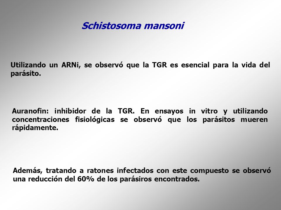 Schistosoma mansoni Utilizando un ARNi, se observó que la TGR es esencial para la vida del parásito.