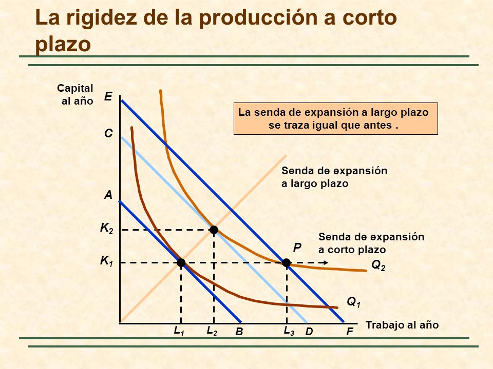 La rigidez de la producción a corto plazo