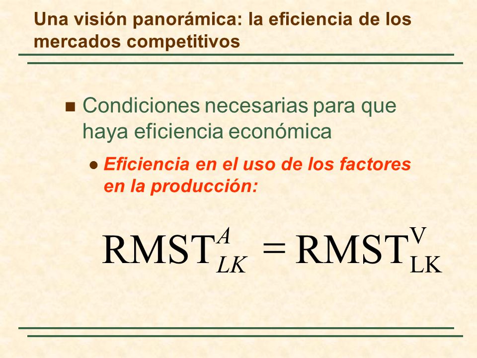 Una visión panorámica: la eficiencia de los mercados competitivos