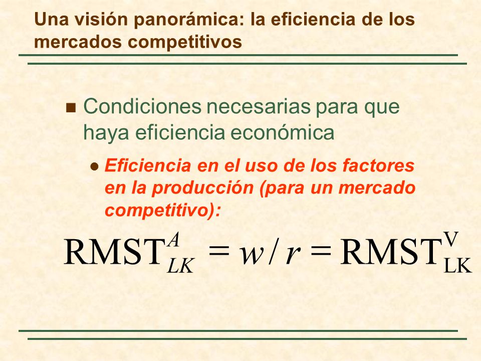 Una visión panorámica: la eficiencia de los mercados competitivos